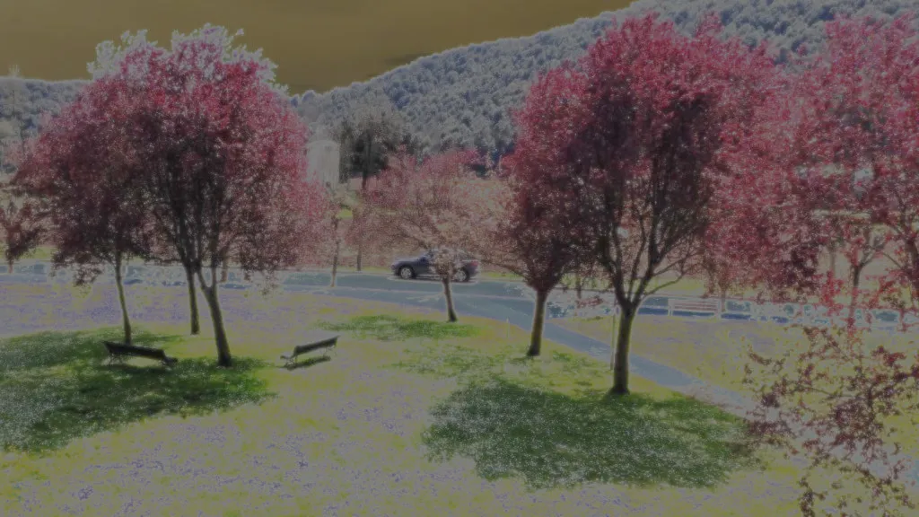 Limbistri Android apps: WiFi network scanner and intermittent fasting timer